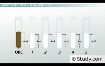 serial dilution lab conclusion